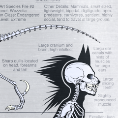 SONAS - Wezzelpine Original Species Skeletons1