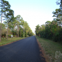 PHOTOS-2009-015