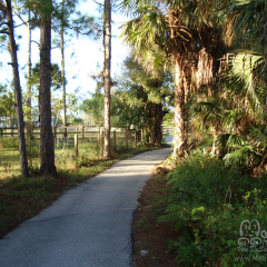 PHOTOS-2009-026