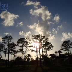 PHOTOS-2009-035