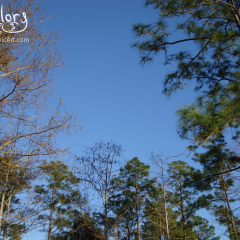 PHOTOS-2009-042