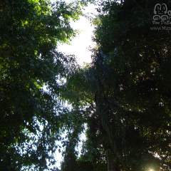 PHOTOS-2009-075