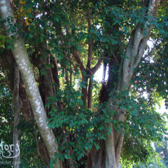 PHOTOS-2009-076