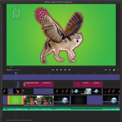 MATV87 - Video WIPs 2