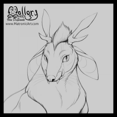 COMMISSION - Baelfin2