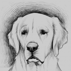 REALISM - Goldy 1