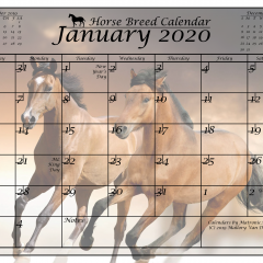 GRAPHIC DESIGN - CalendarExample1